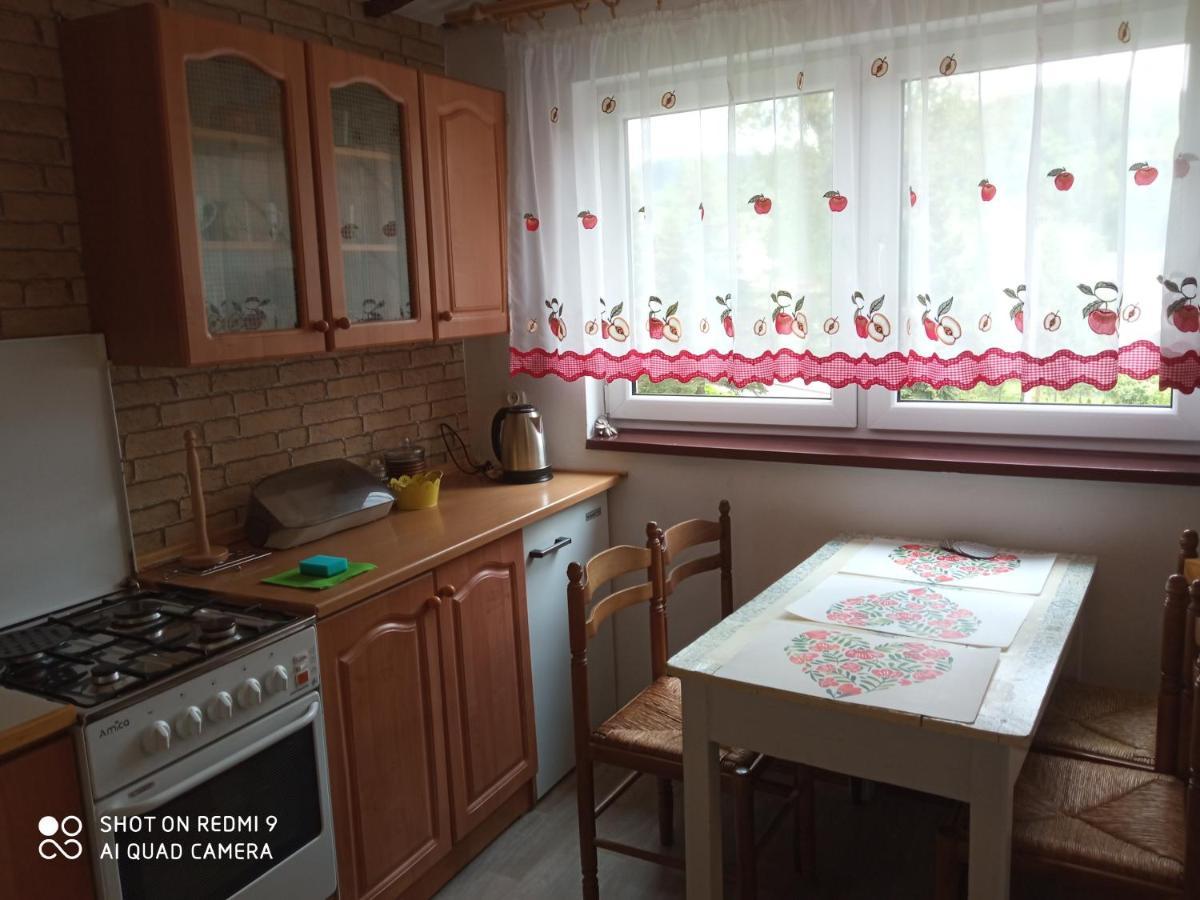Domek I Apartamenty Stokrotka Krynica Zdroj Buitenkant foto